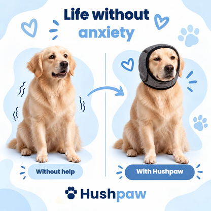 Before and after: anxious dog without help vs calm dog with Hushpaw