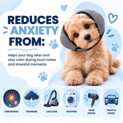 Hushpaw reduces anxiety from fireworks, thunder, vacuum, washer, hair dryer and traffic noise